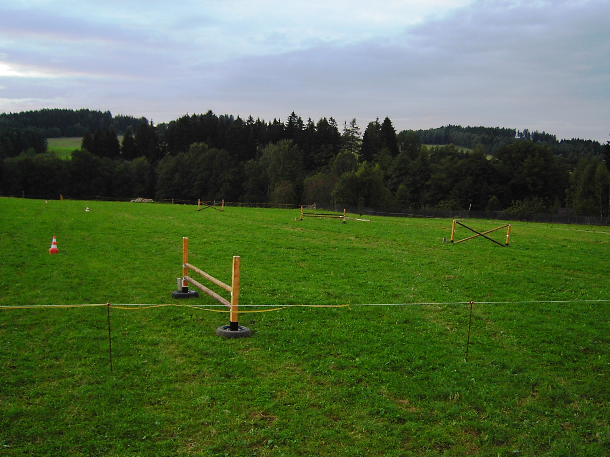 KIF_6410