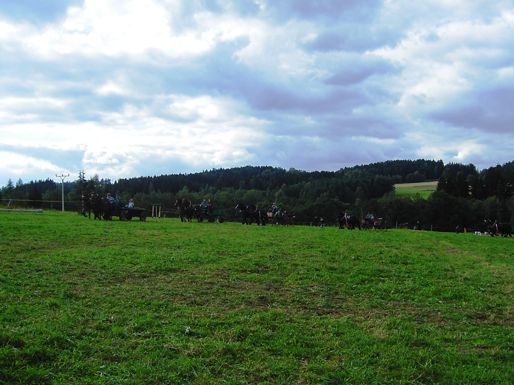 KIF_6460