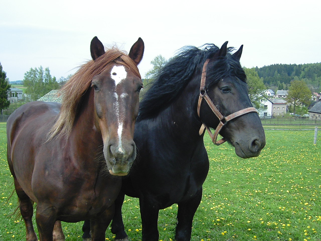 13.5.2005 027.jpg