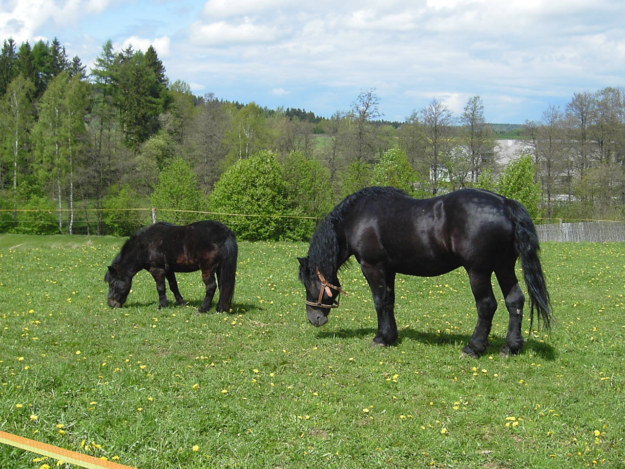 15.5.2005 (32).jpg