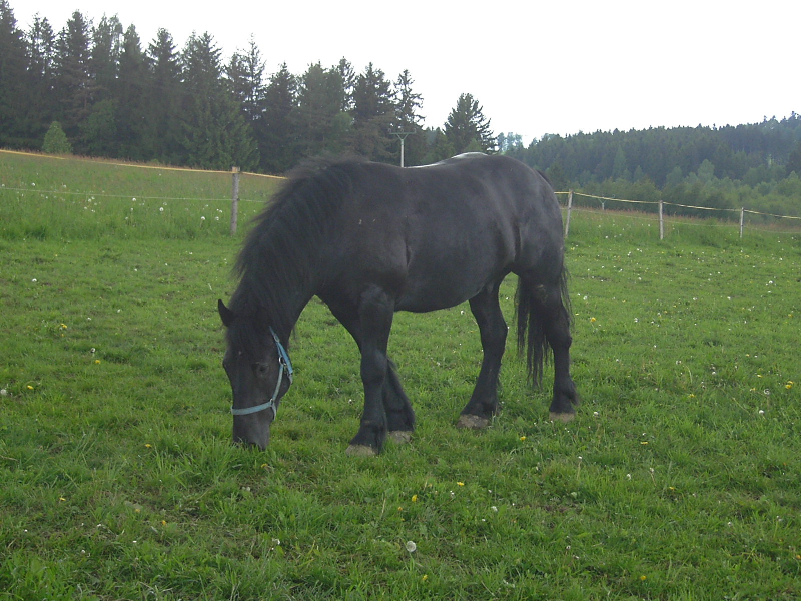 27.5.06 - všichni 003.jpg