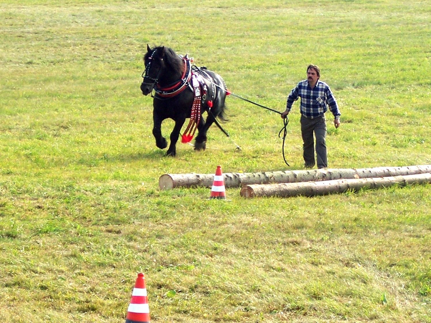 Litomyšl (6)